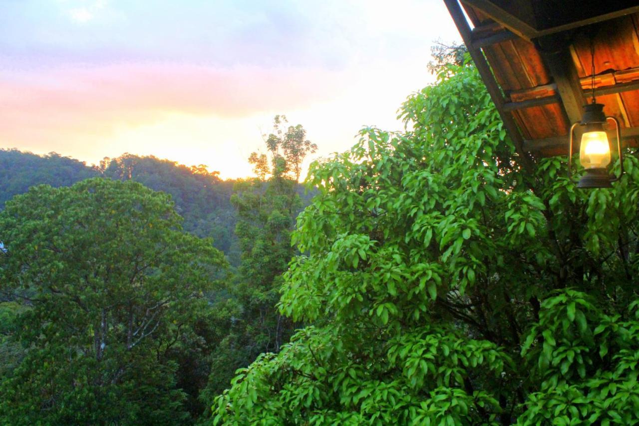 The Wild Trails Clarks Exotica , Munnar Hotel Exterior photo