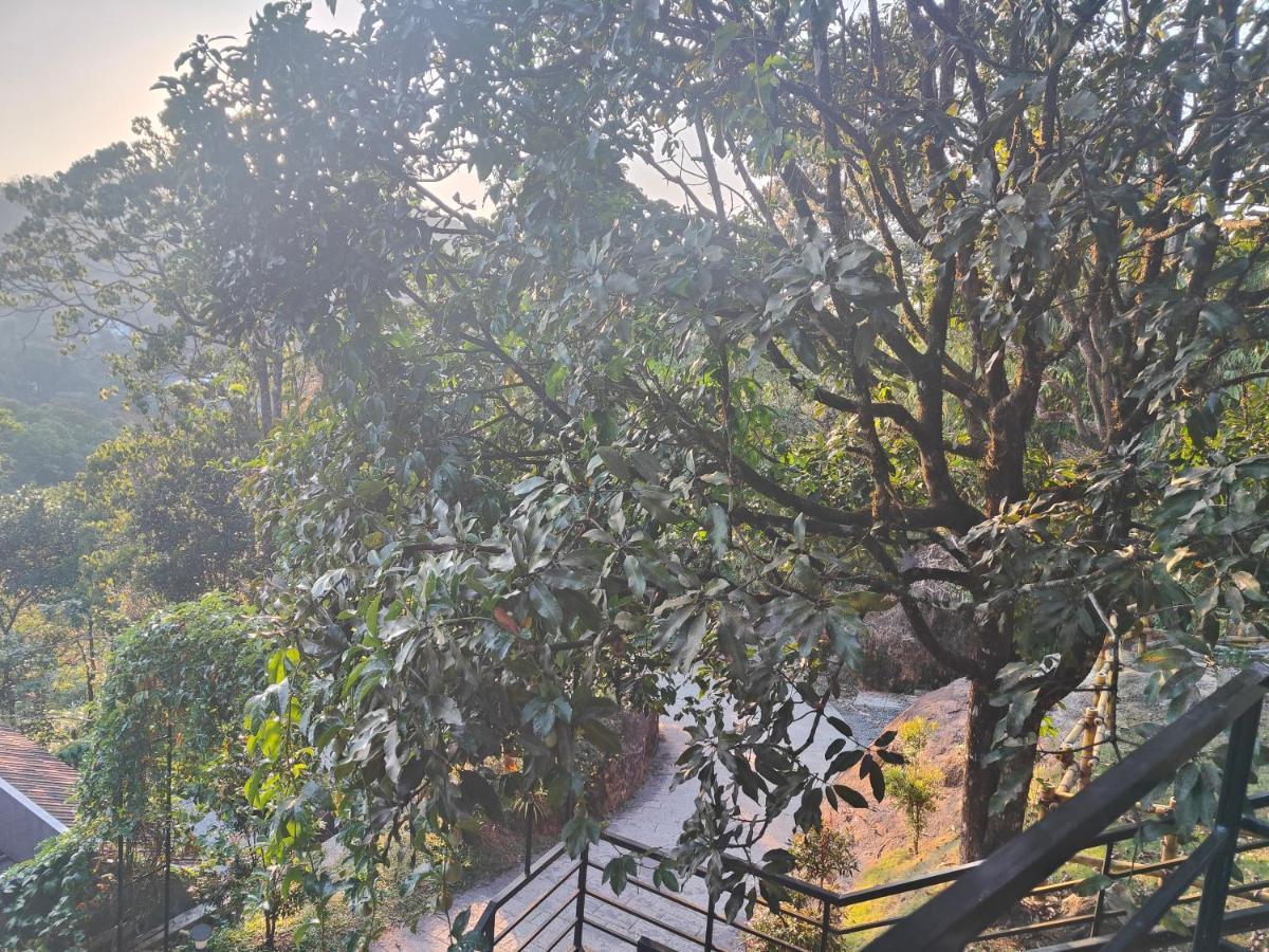 The Wild Trails Clarks Exotica , Munnar Hotel Exterior photo